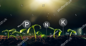 Cách tính năng lượng tiêu hao ở người bình thường và người bệnh lý