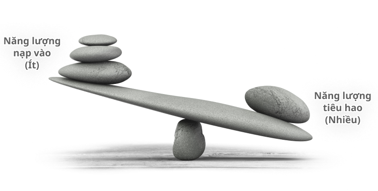 Mất cân bằng chuyển hóa giữa các nguồn năng lượng trong cơ thể